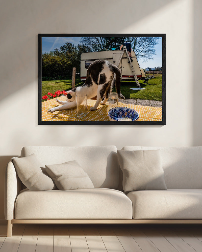 Vergelijkbare poses... | Canvas