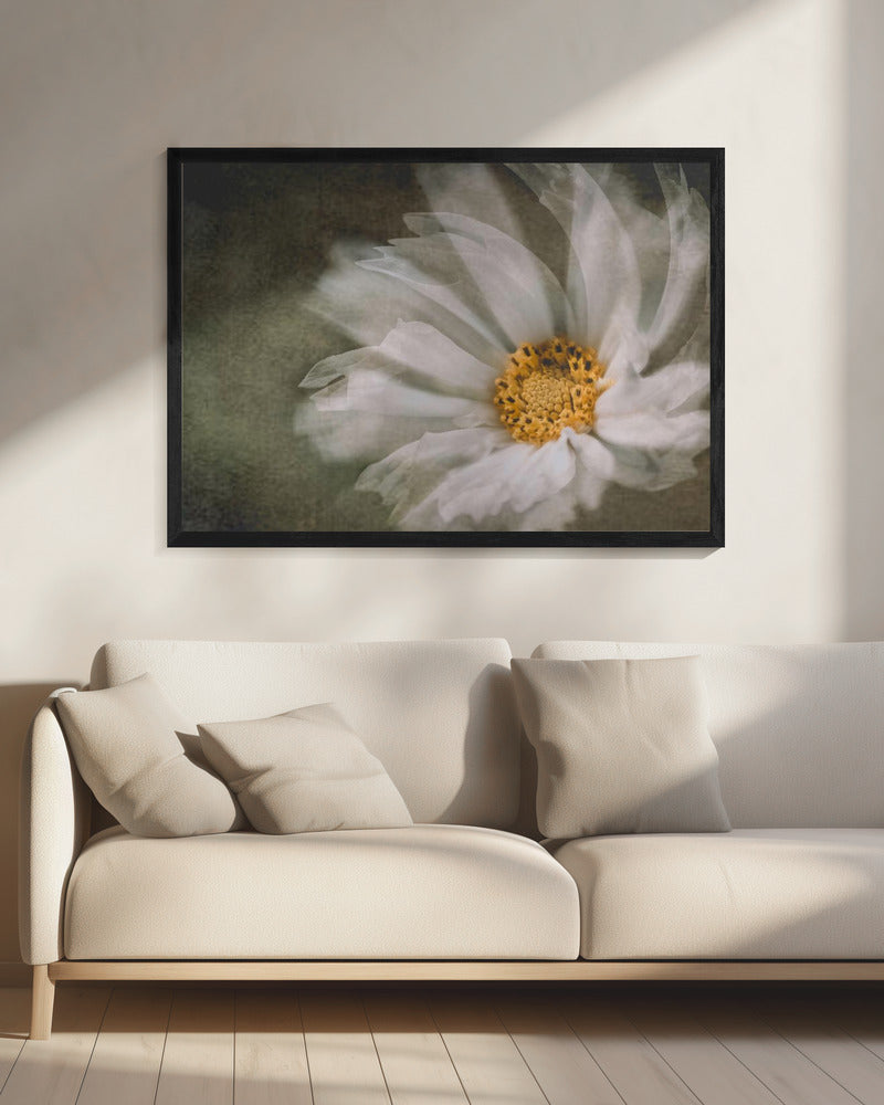 Dansen | Canvas