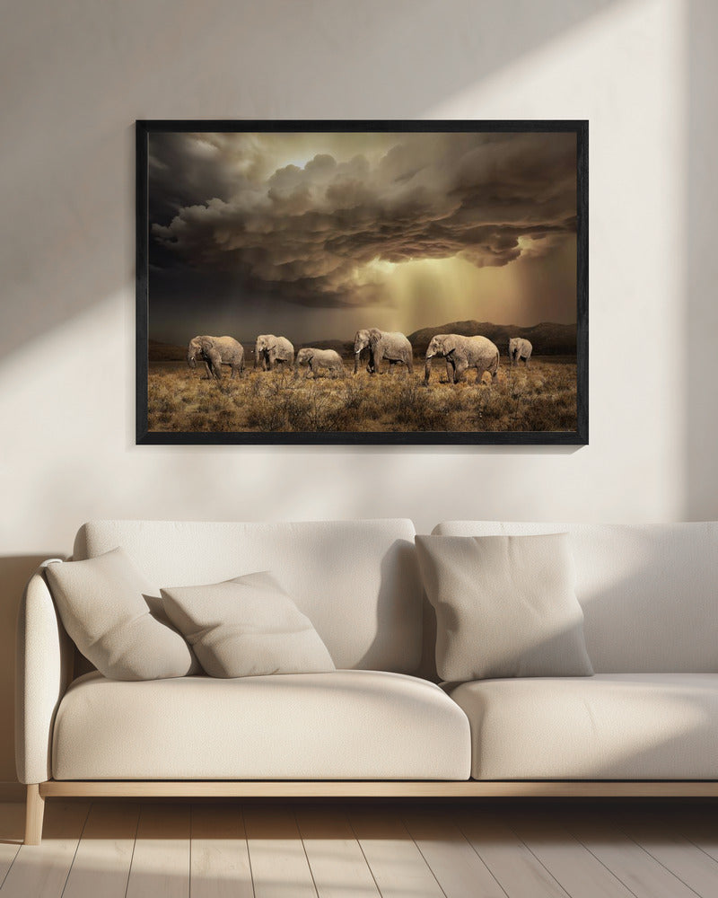 Gratis Olifanten | Canvas
