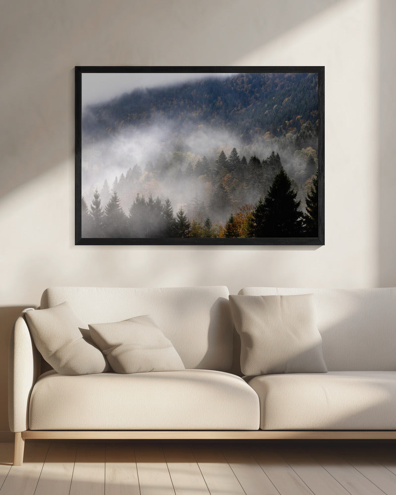 Foggy Woods 9 | Canvas