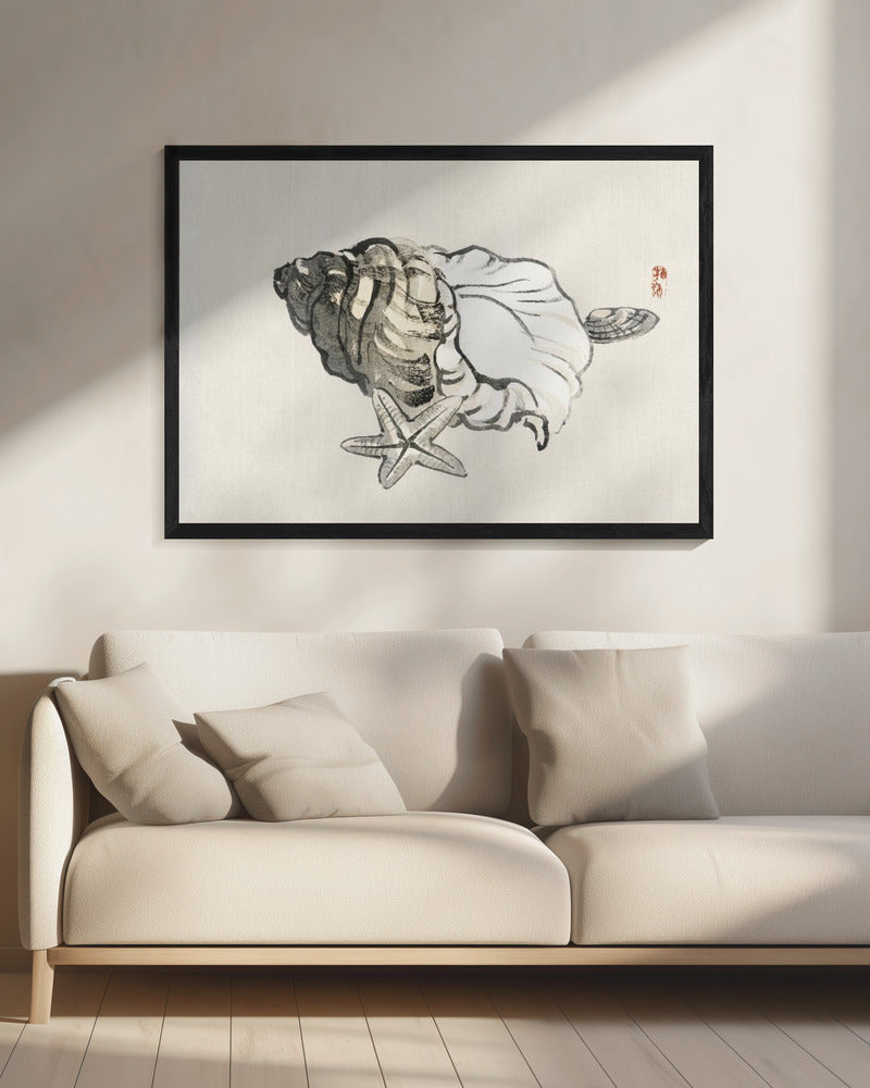 Zeester en schelp | Canvas