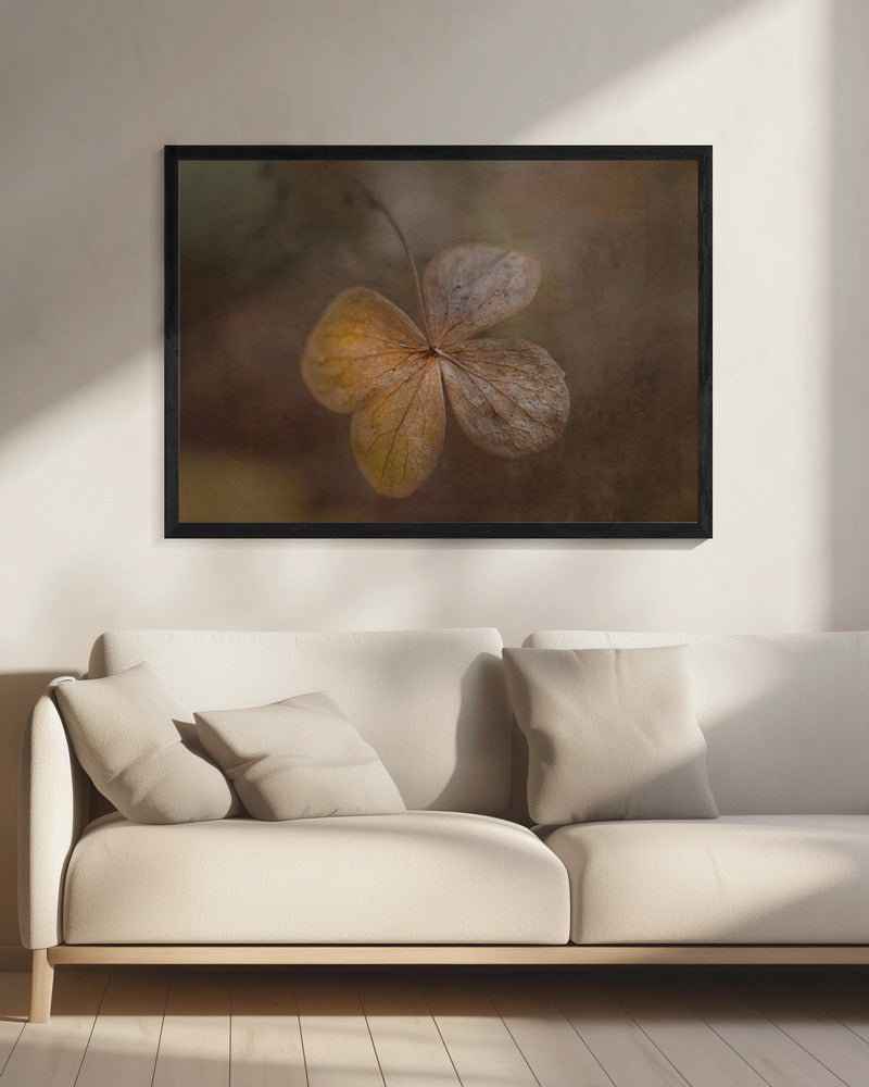 restanten van de dag | Canvas