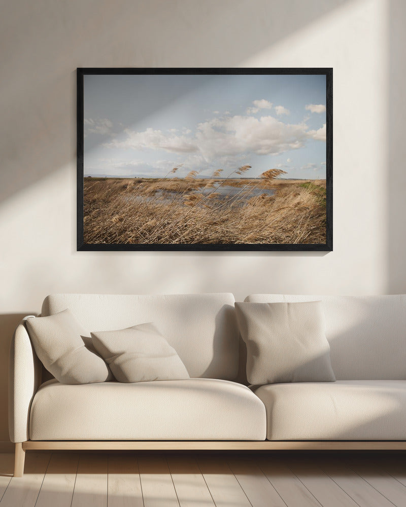 Moerasland nr. 6 | Canvas