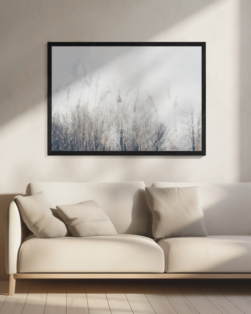 Landschap van riet en gras | Canvas