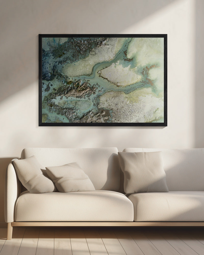 Evergreen | Canvas