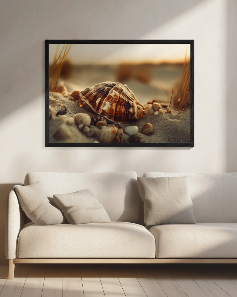 Schelpen bij zonsondergang | Canvas