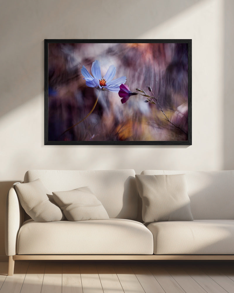 De ontmoeting | Canvas