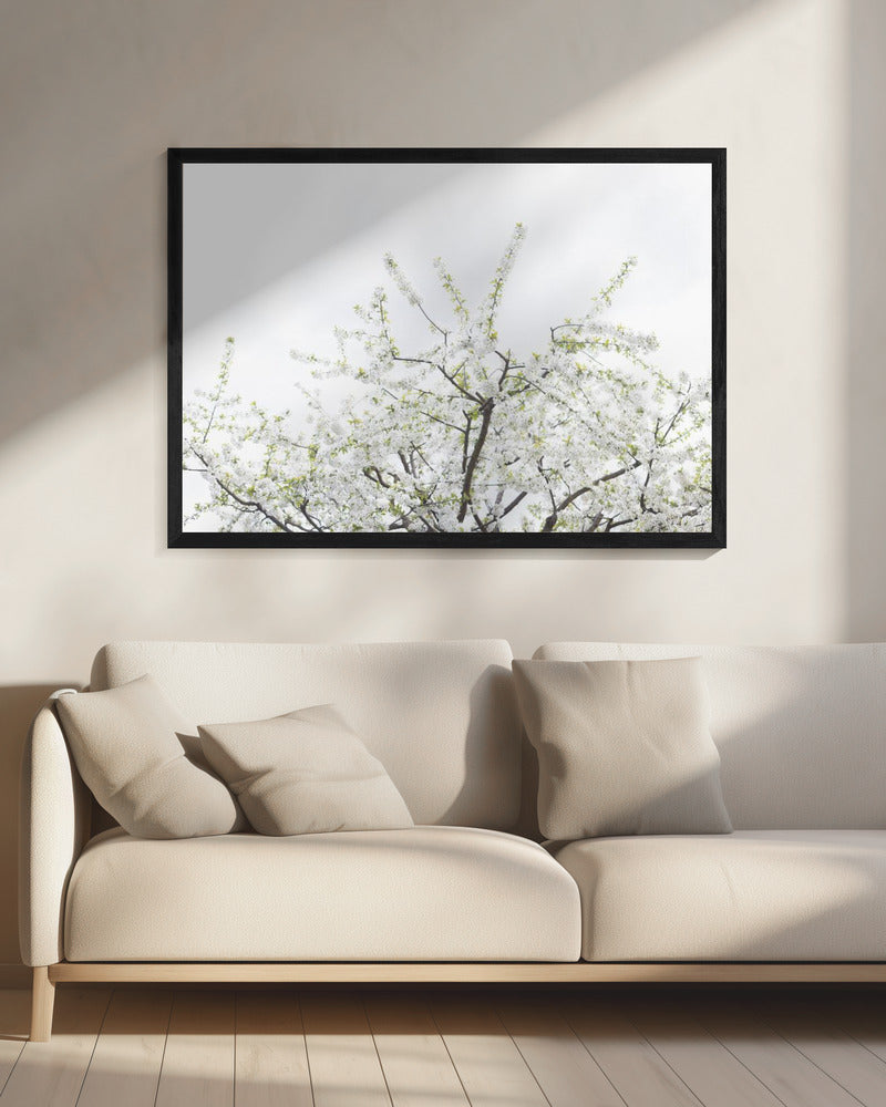 Witte Lenteboom 2 | Canvas