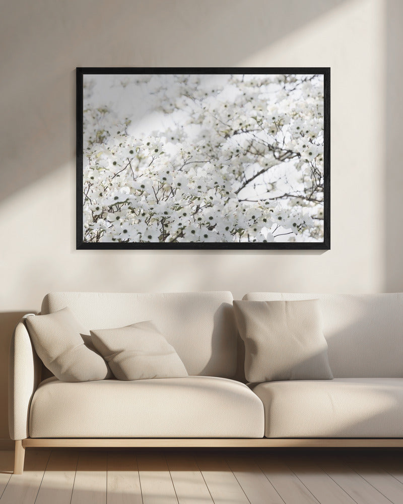 Witte Lenteboom 1 | Canvas