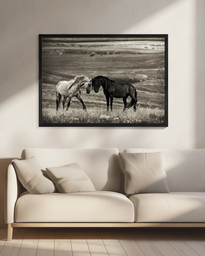 nauwe ontmoeting | Canvas