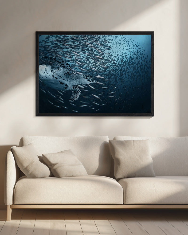 Buigen | Canvas