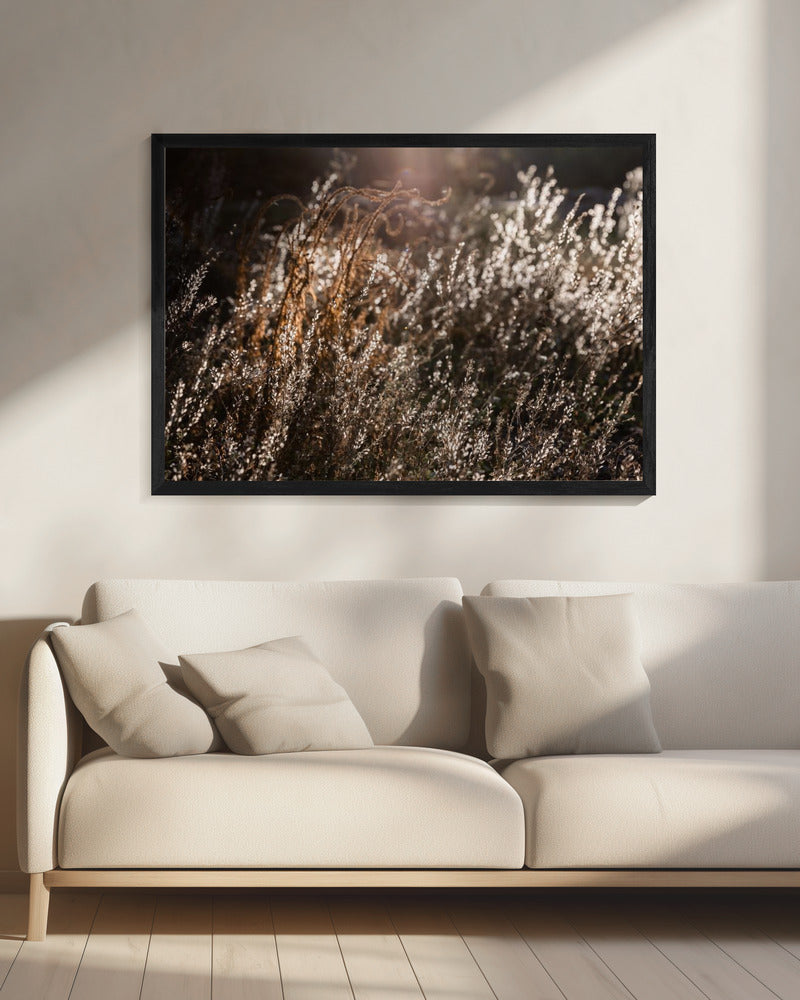 Warm Winterlicht 4 | Canvas