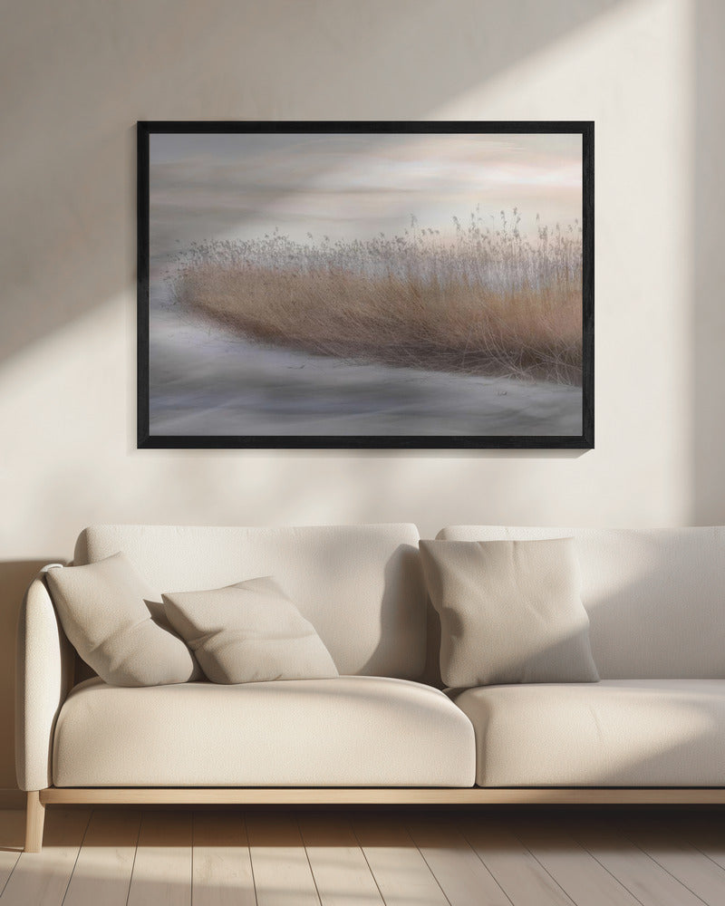 Winterriet | Canvas