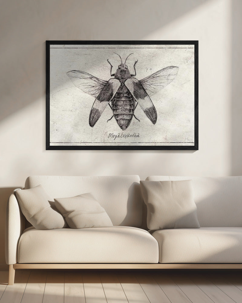 Ingewikkelde insectenschets | Canvas