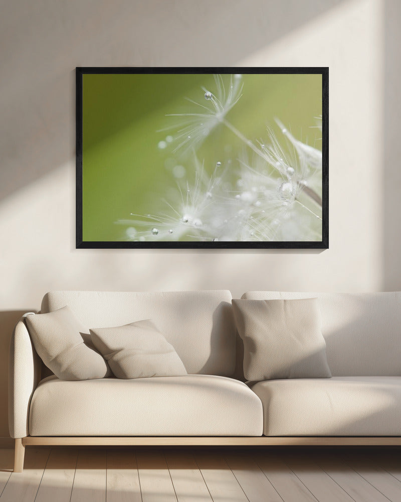 Groen | Canvas