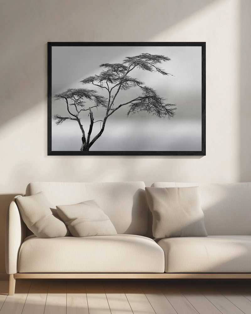 een heel lang verhaal | Canvas
