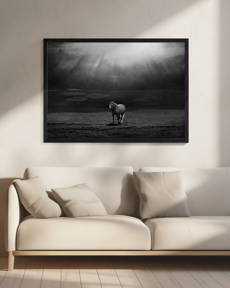 ochtendoptreden | Canvas