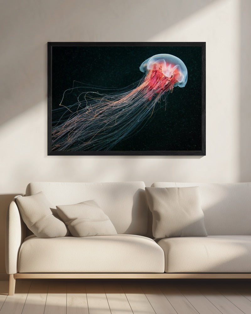 Langstaart | Canvas
