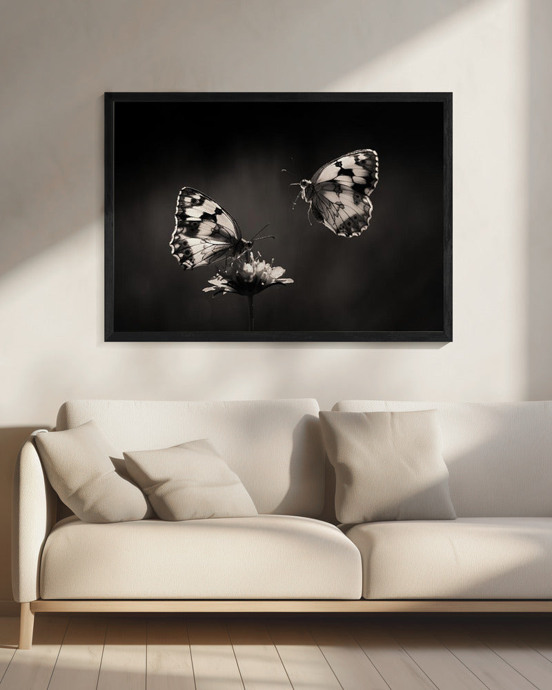 Noordelijk halfrond | Canvas