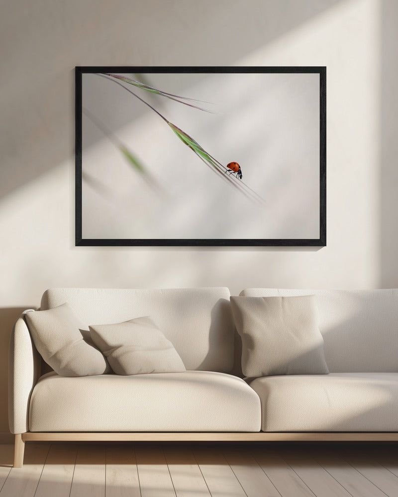lieveheersbeestje | Canvas