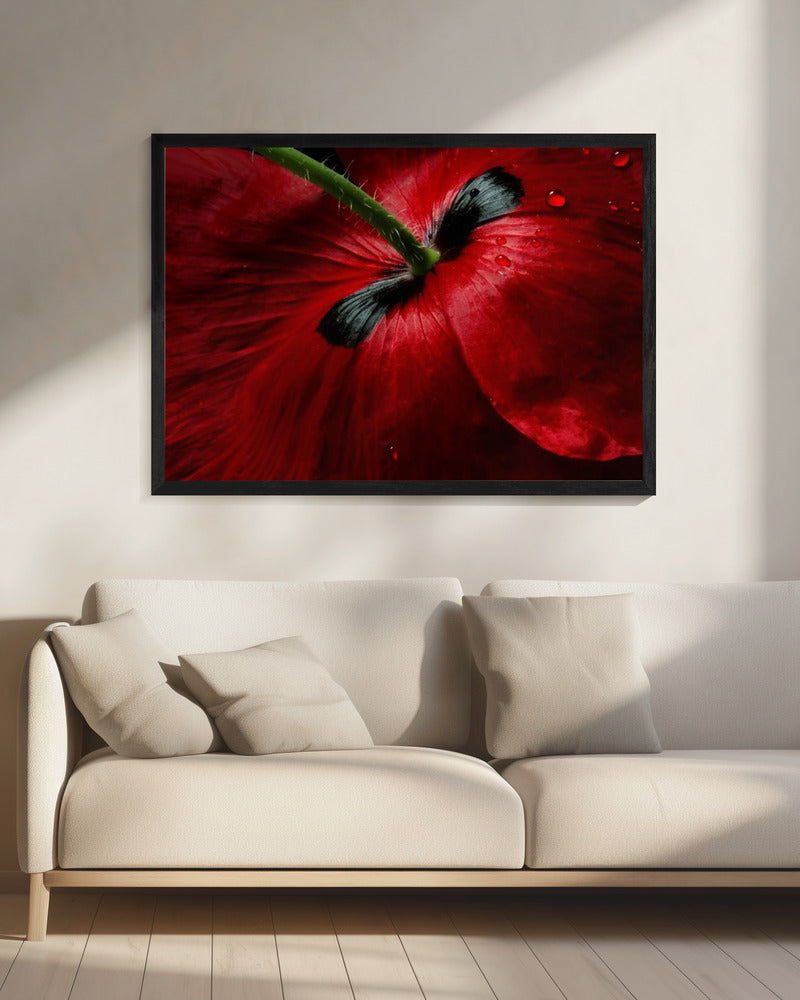 Papaverpassie | Canvas