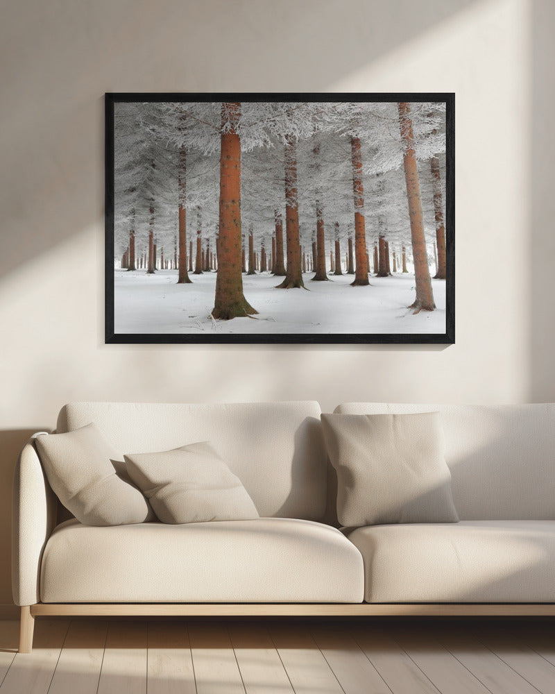 In het wit | Canvas