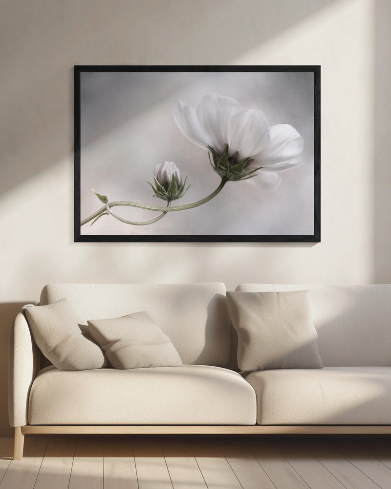 Gewoon Kosmos | Canvas