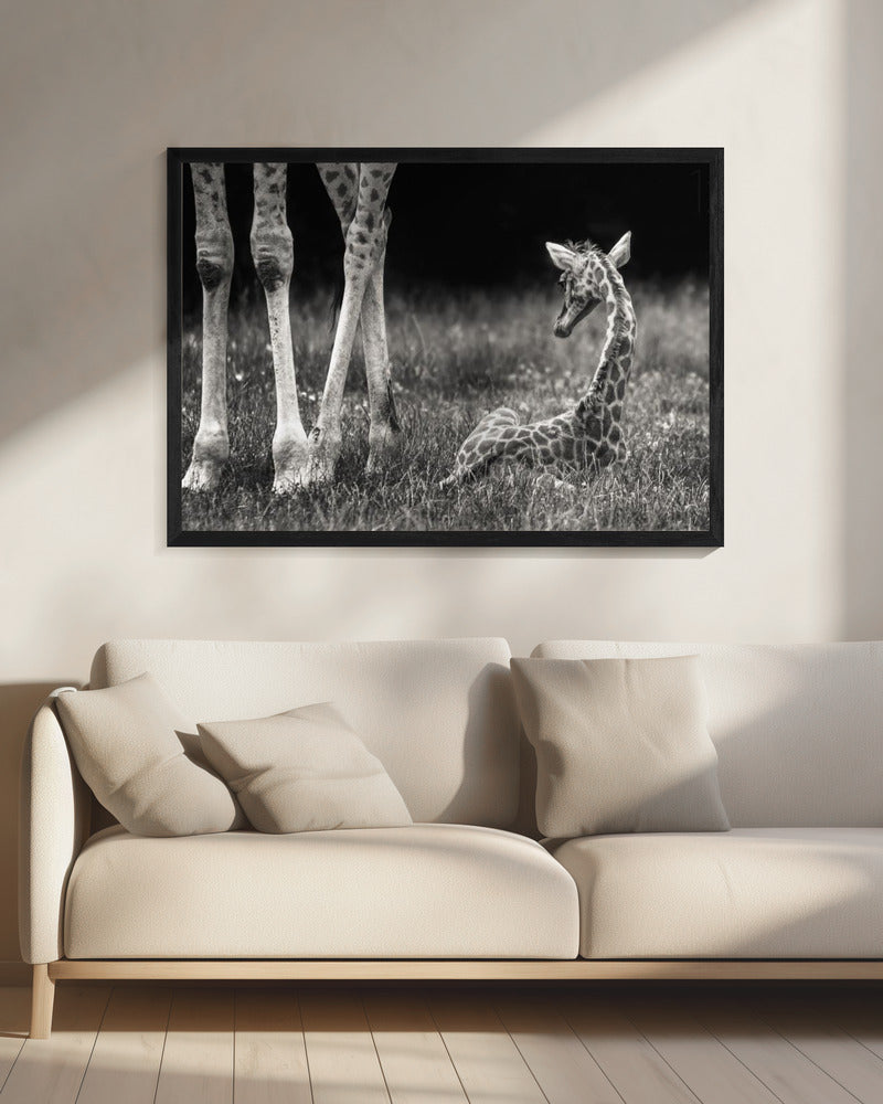 goed beschermd | Canvas