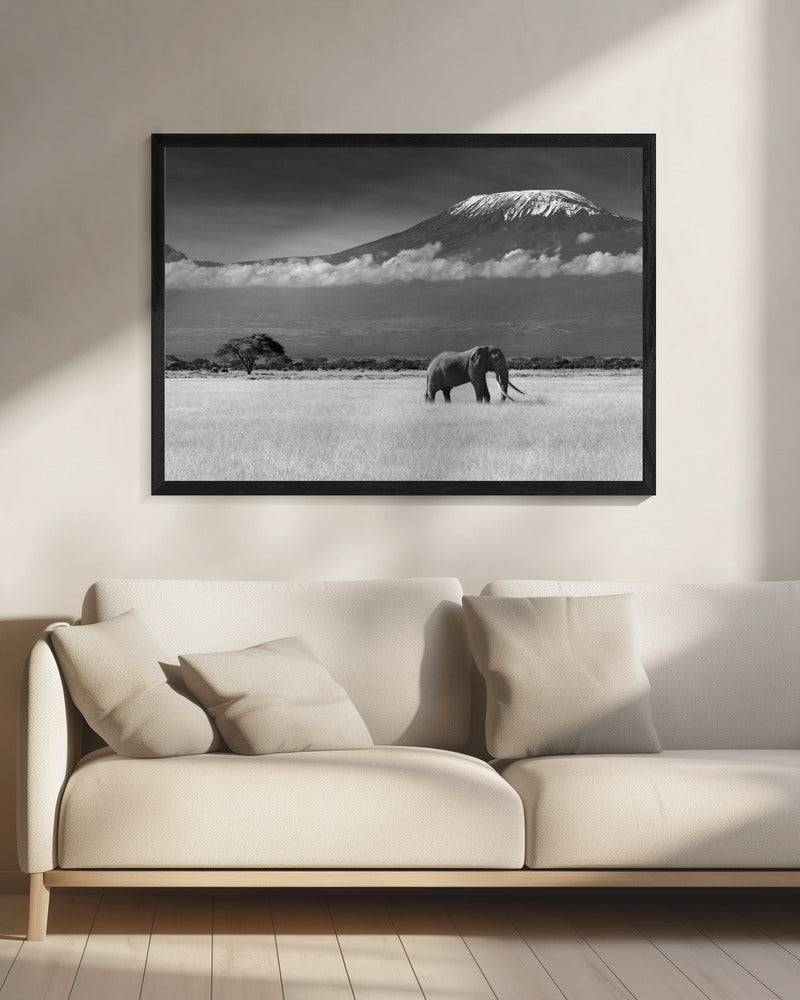 Verloren kleuren II | Canvas
