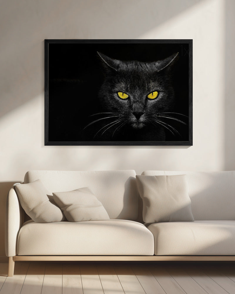 Zwarte kat | Canvas