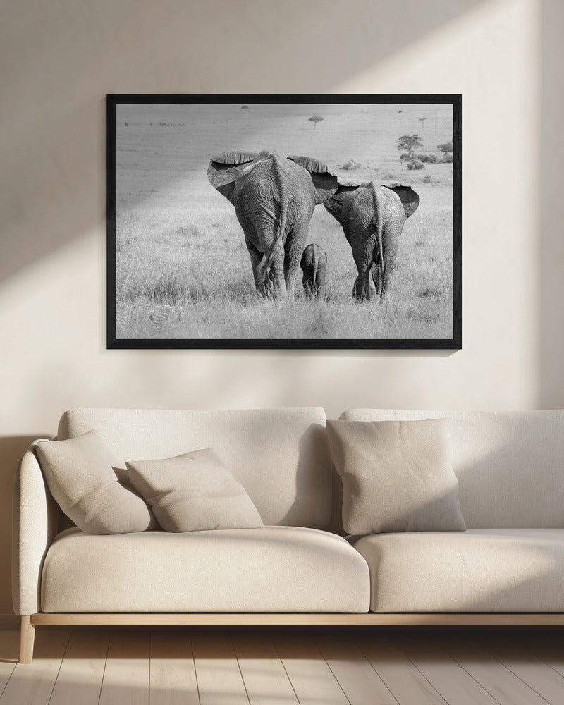 Drie billen! | Canvas