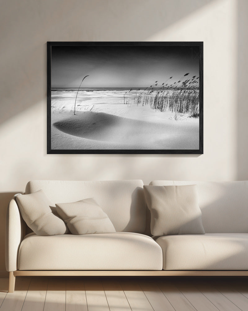 Orkest | Canvas