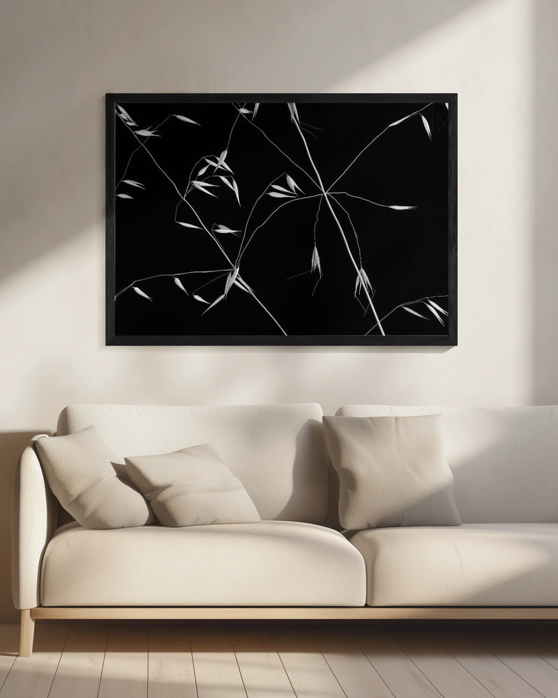 Gekruiste lijnen | Canvas