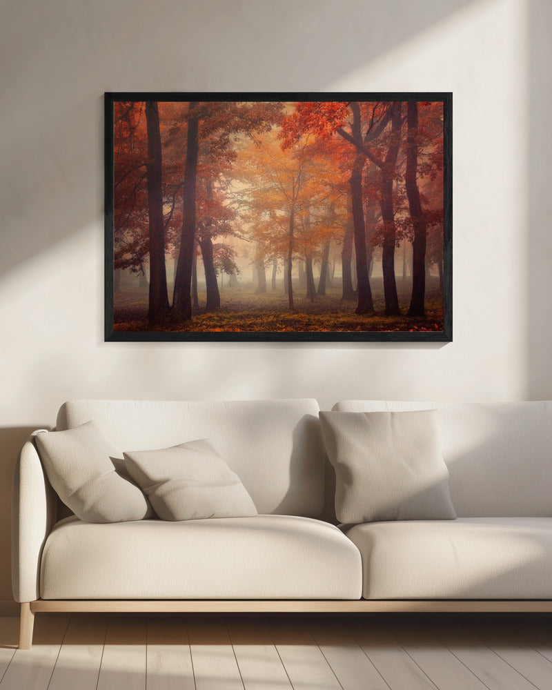 Voel | Canvas