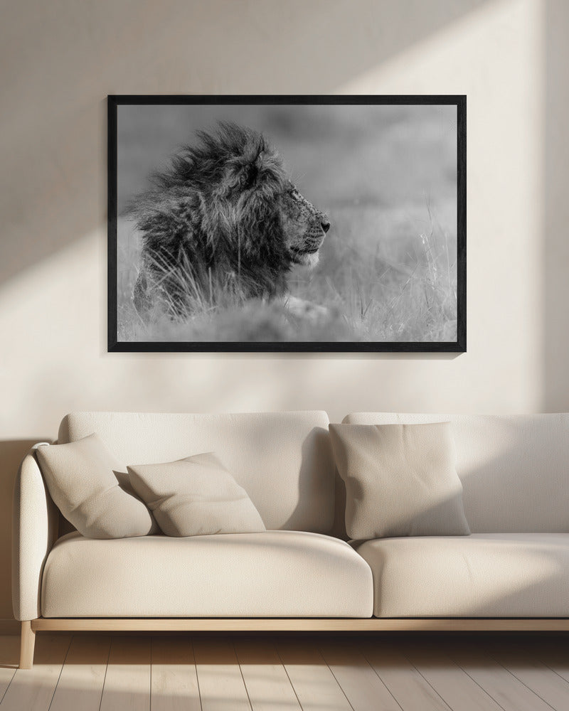 De koning is alleen | Canvas