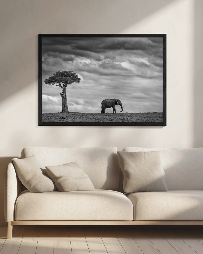 Olifantenlandschap | Canvas