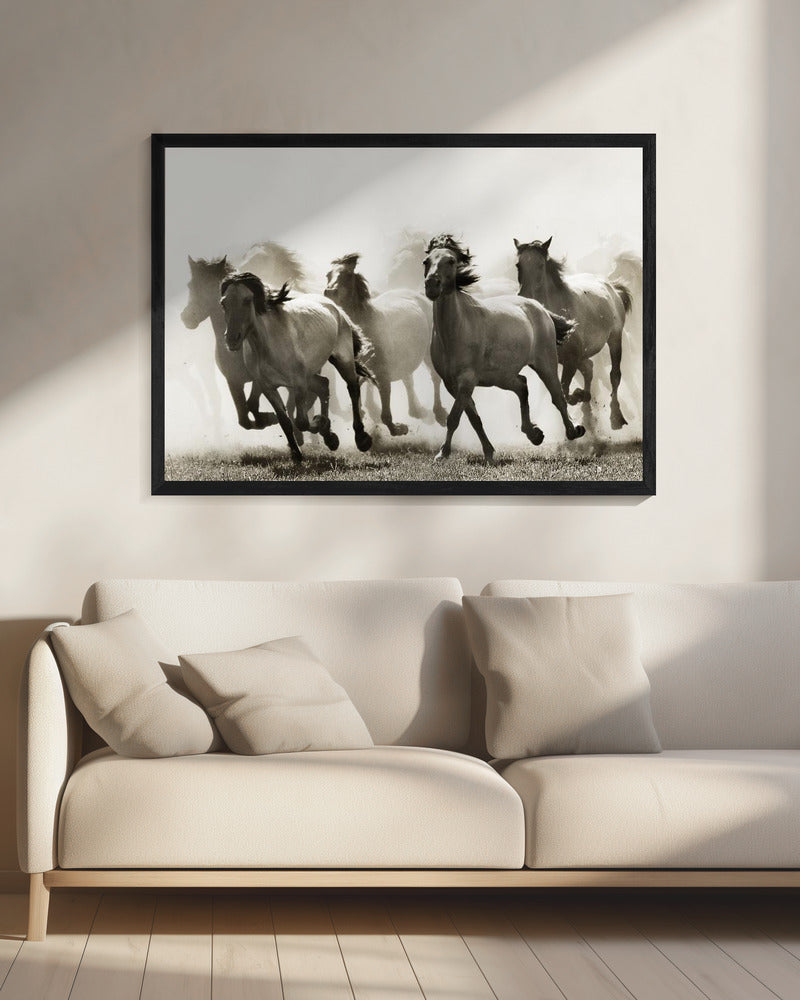 Paard | Canvas
