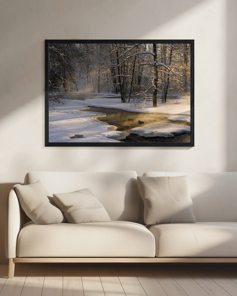 Het eerste licht | Canvas
