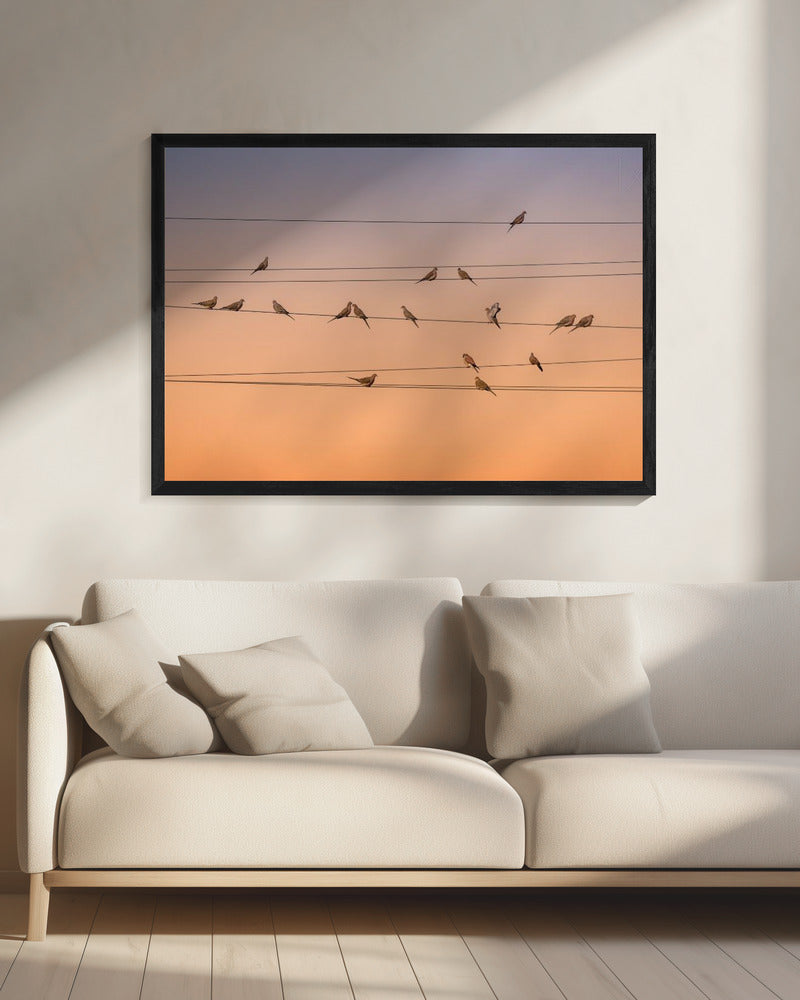 Muziek van Licht | Canvas