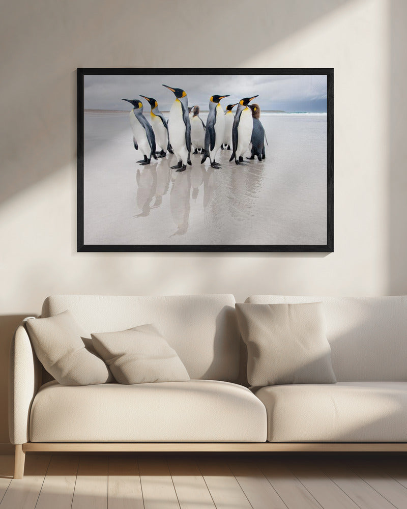 Lijfwacht | Canvas