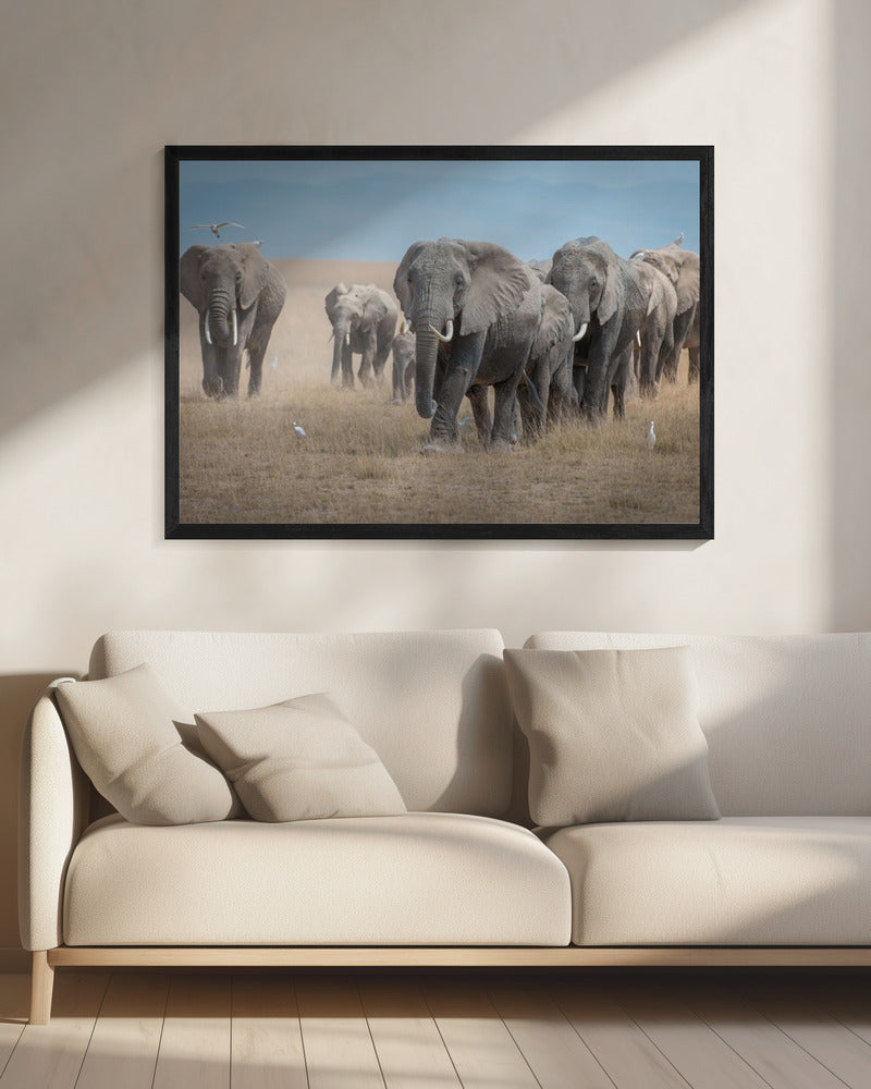 Herinner je de Titanen | Canvas