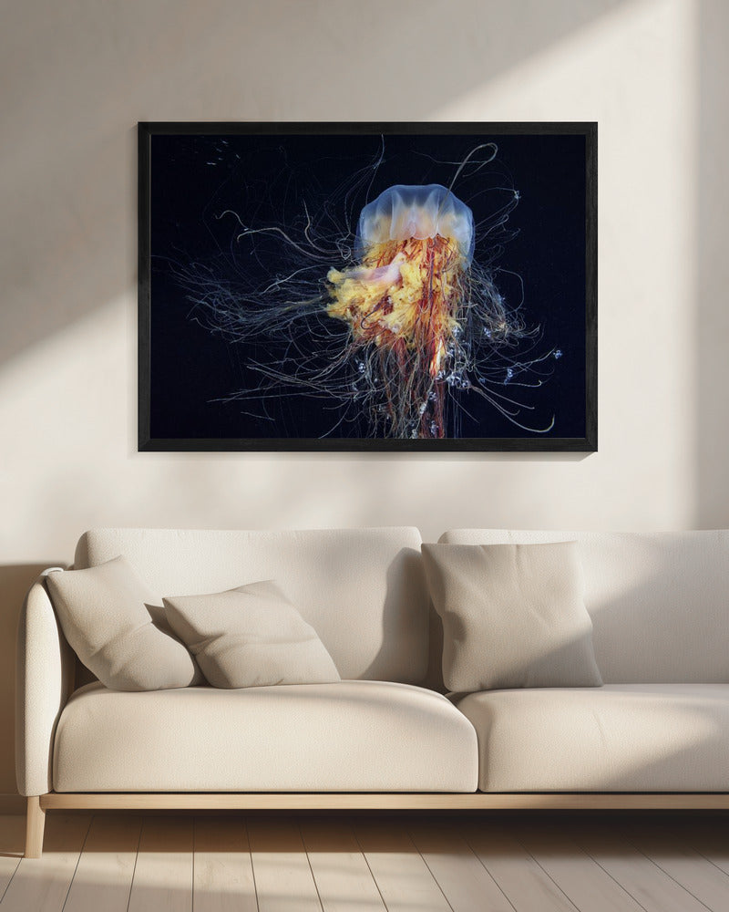 Manen van de reuzenleeuw | Canvas