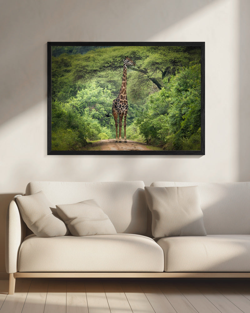 onverwachte ontmoeting | Canvas