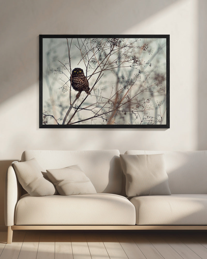 Kijk naar mij! | Canvas