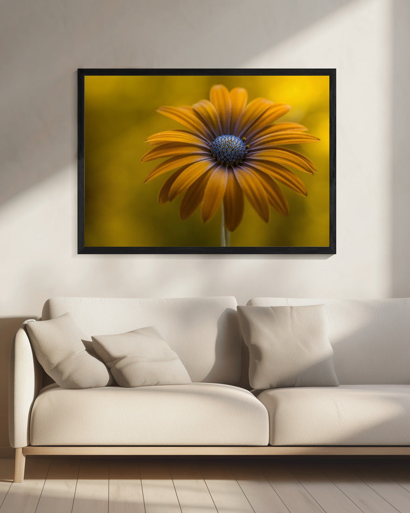 Zonnebloem Madeliefje | Canvas