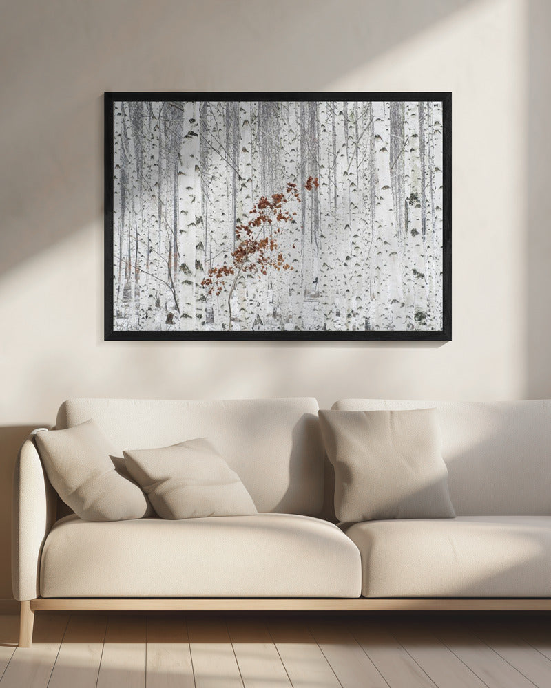 Van Wit | Canvas