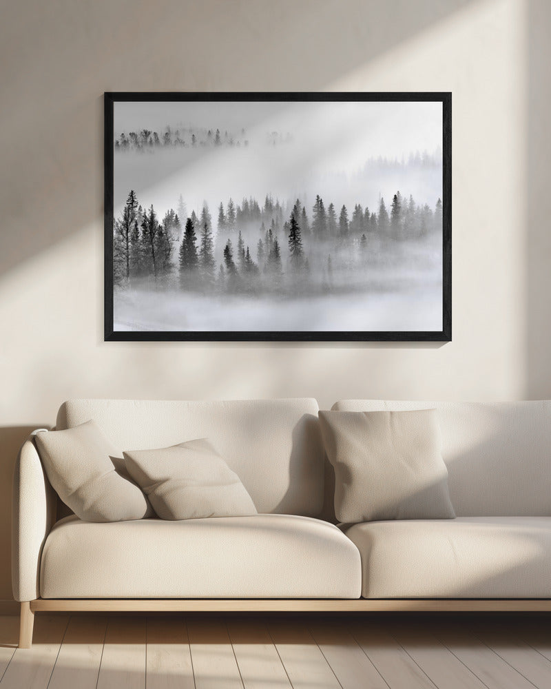 Mistig bos | Canvas
