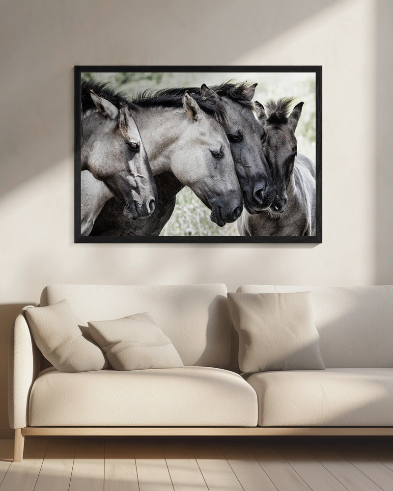 Vier Konikpaarden | Canvas