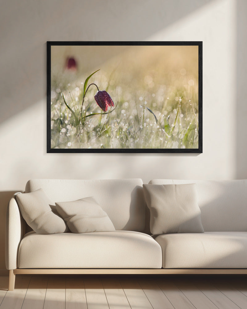 Ochtenddauw | Canvas