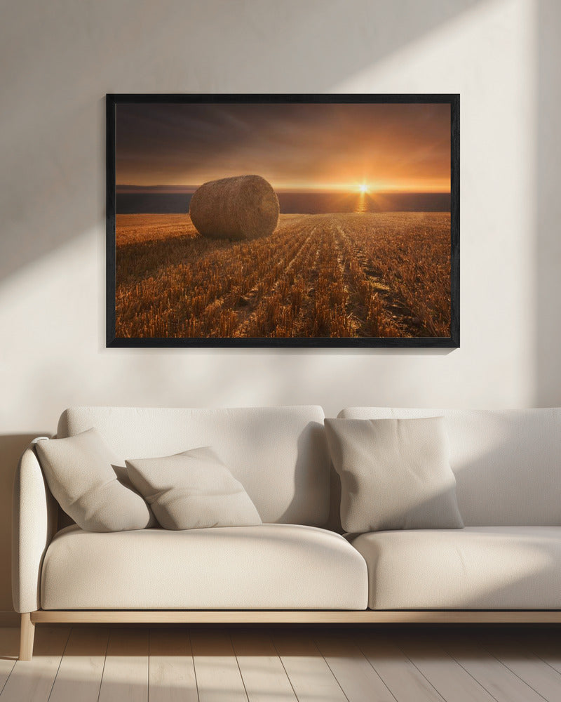 Gouden Oogst | Canvas